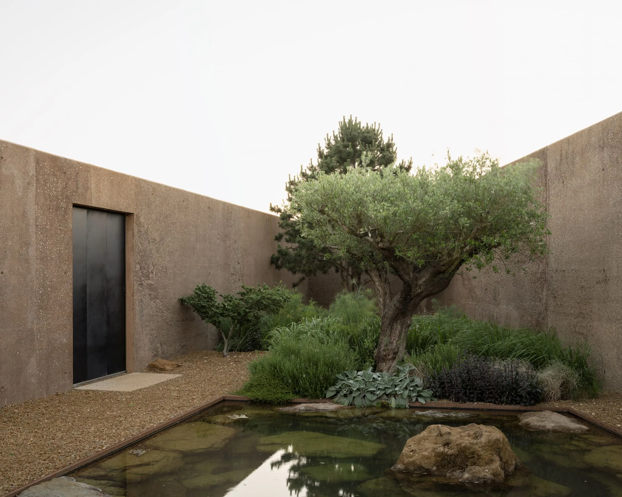 An enclosed courtyard with a mature olive tree and a still reflecting pool.