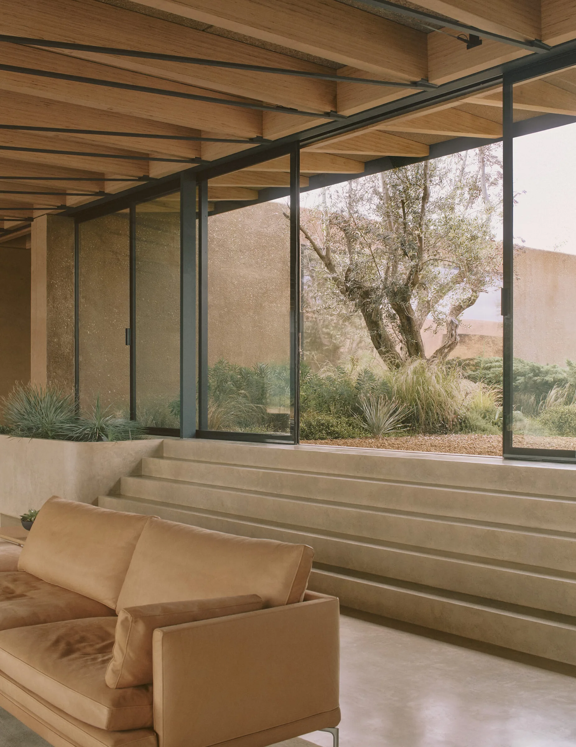 A seating area stepping down to the glazing, framing a single tree.